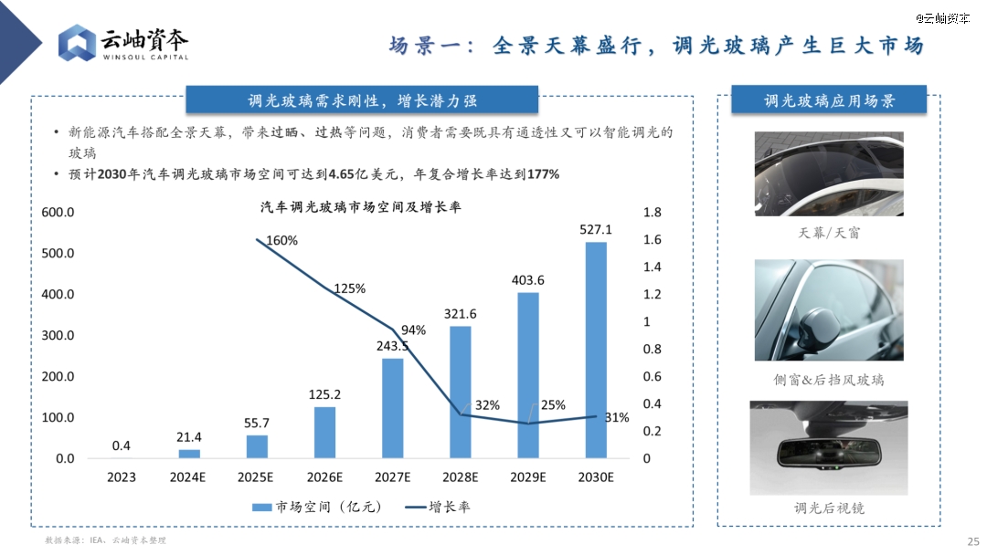 云开：2024年汽车行业热门细分赛道深度分析与展望(图21)