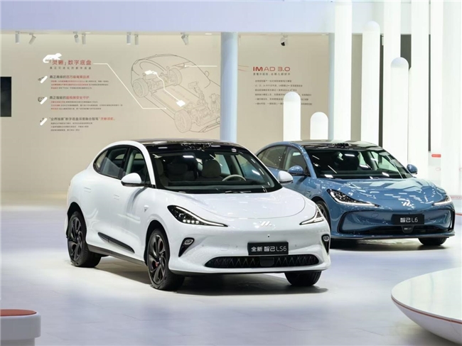 采埃孚汽车科技（上海）取得一种夹持装置专利使夹持装置实现对多种电动助力转向系统的通用定位(图2)