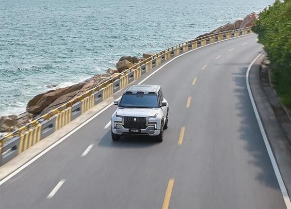 云开（Kaiyun）：仰望U8车主玩疯了：2024年共原地掉头17万次(图1)