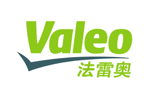 2024全球汽车零部件企业10强(图9)