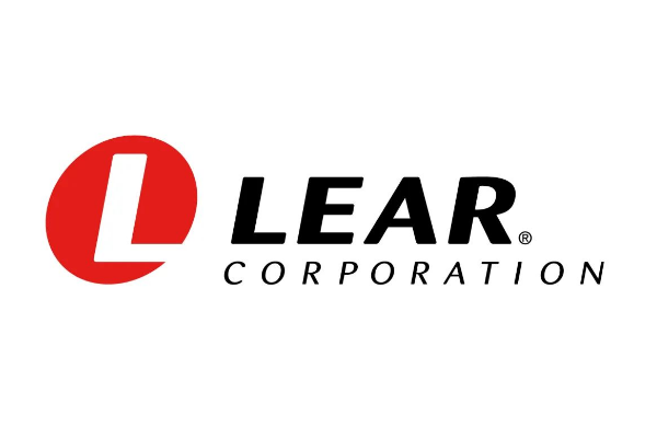 2024全球汽车零部件企业10强(图10)