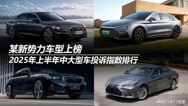 2025年上半年中大型车投诉指数排行：某新势力车型上榜(图12)