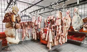 2024年中国汽车转向系统行业发展分析(图3)