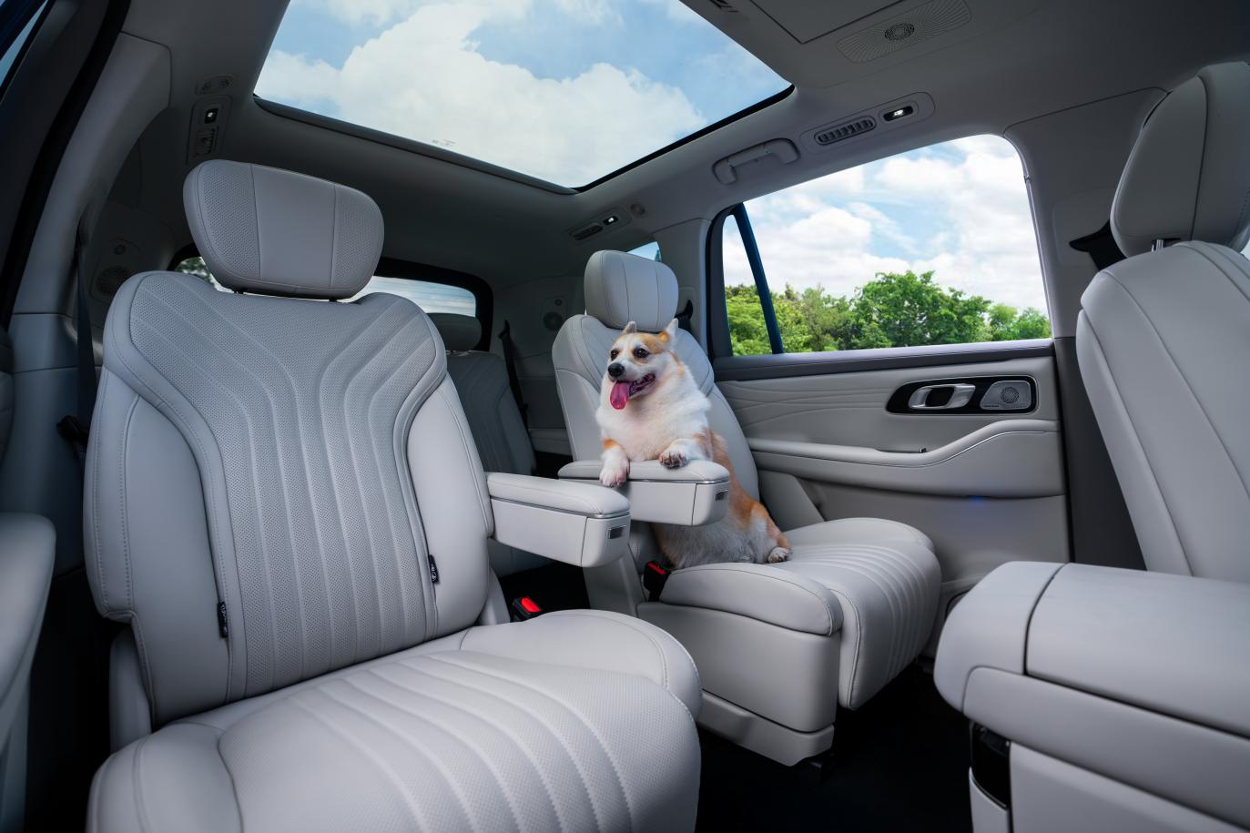 吉利银河M9：20万级大六座SUV的“六边形战士”进化论(图7)