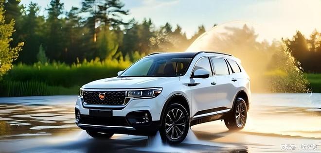 俄媒批评：中国车辆耐用度仅为德系一半易腐蚀、品质不及欧美(图10)