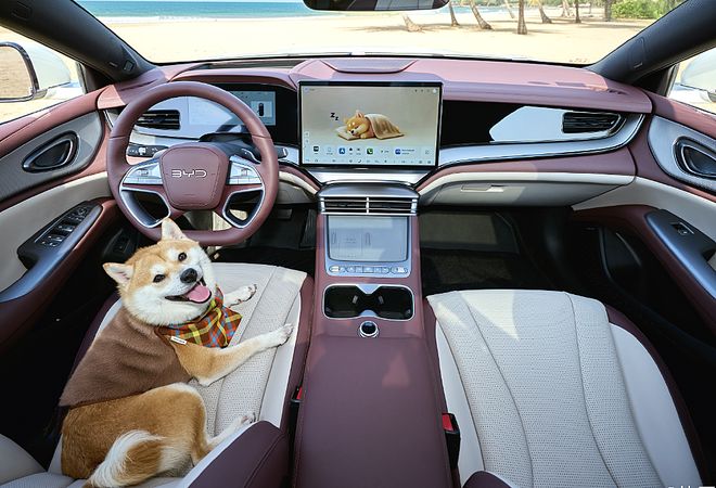 云开（Kaiyun）：比亚迪海洋600万销量达成8系双旗舰车型开启高端新局(图6)