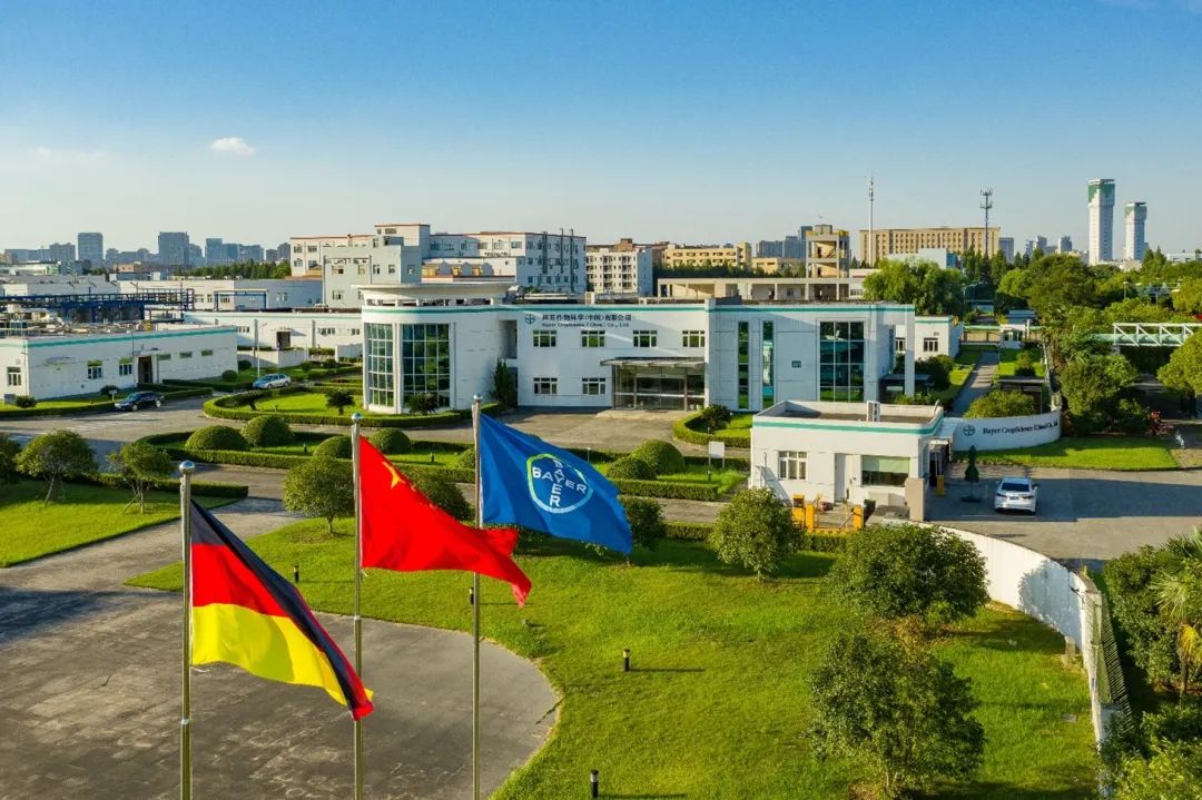 中国蓝观察丨外企为何纷纷看好中国市场前景？(图2)