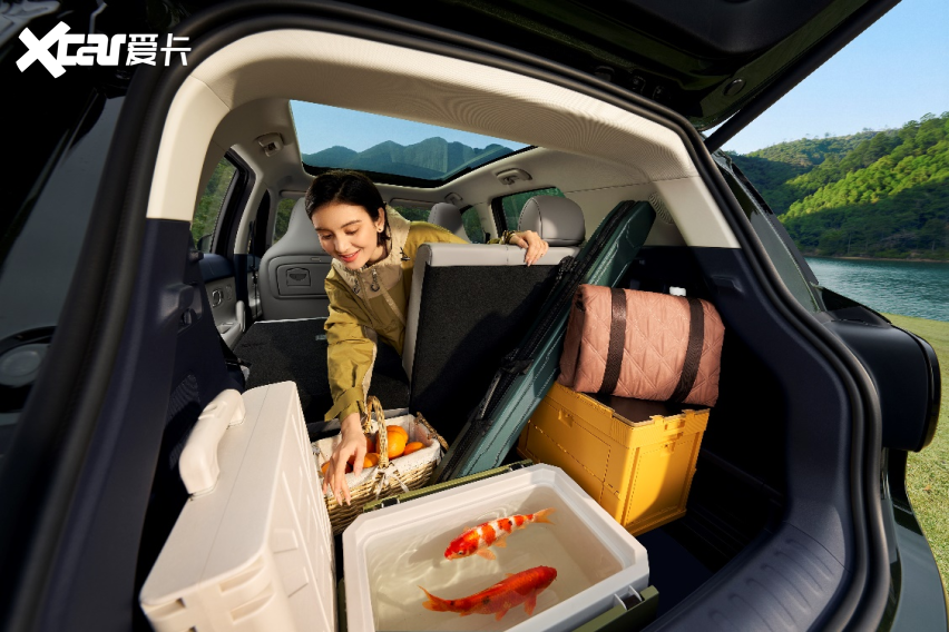 云开：“不玩虚的”才是线万元起(图9)